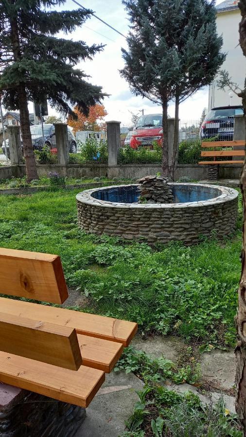 Casa Cu Lavanda Ватра Дорней Екстериор снимка