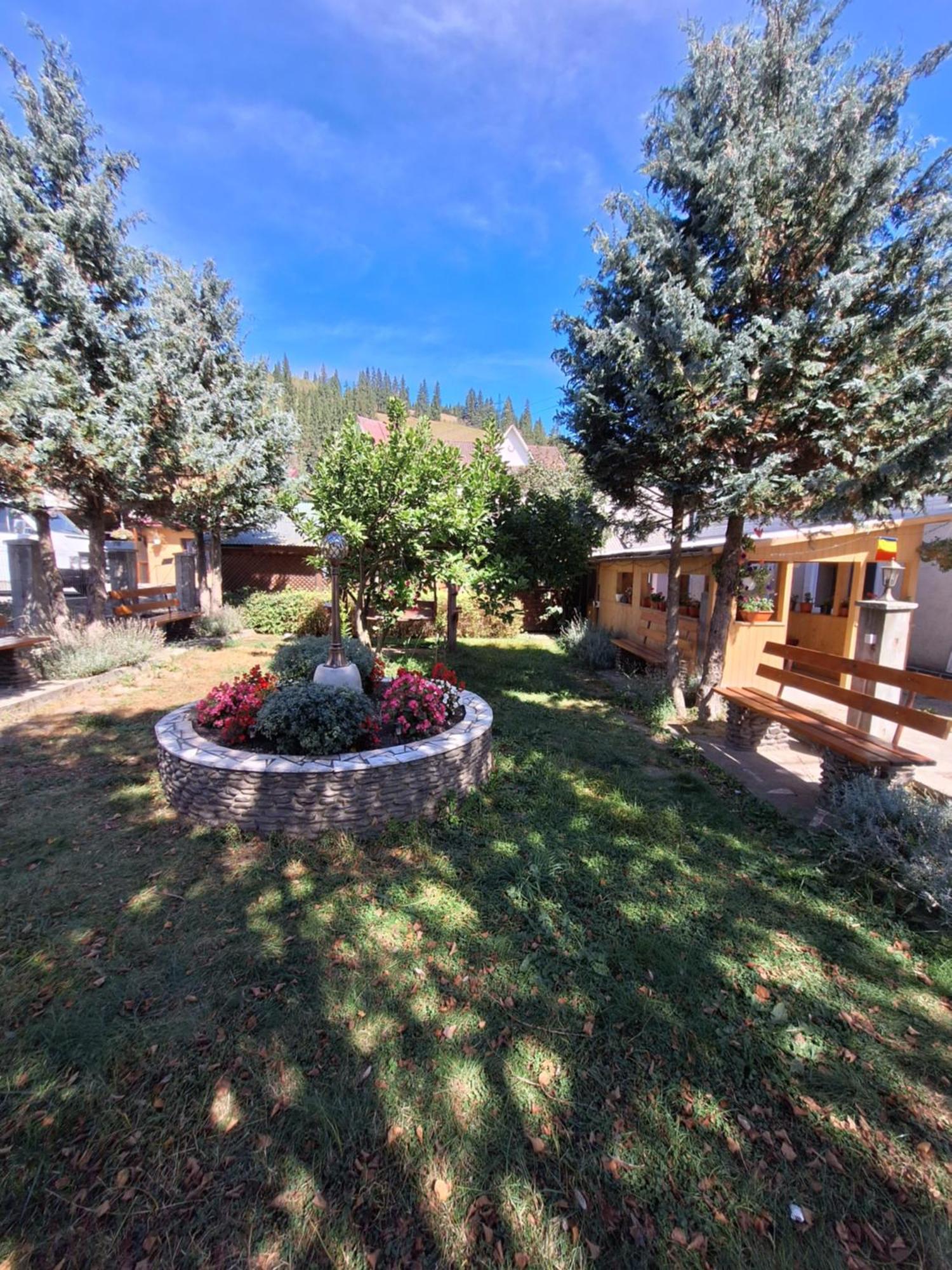 Casa Cu Lavanda Ватра Дорней Екстериор снимка
